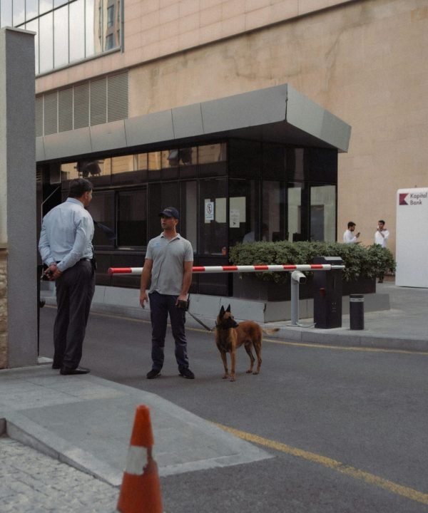 Dog Handler 1 Dog Handler 1